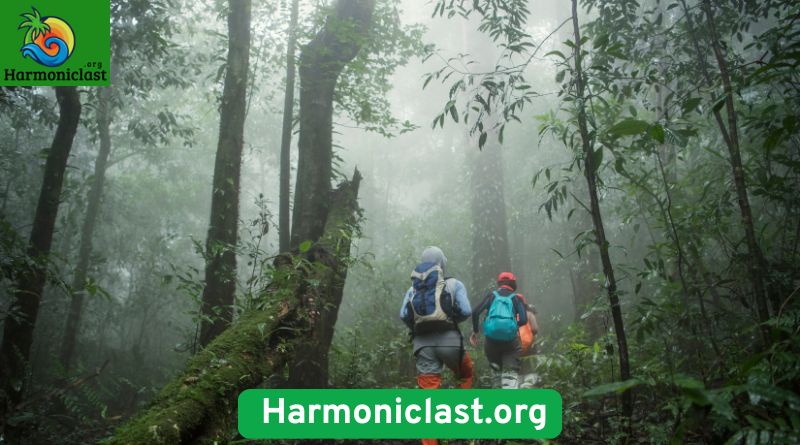 harmoniclast.com 