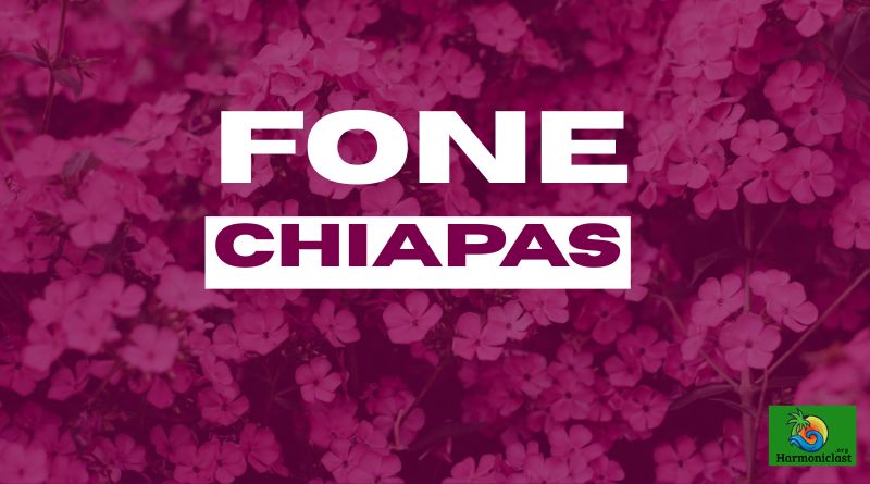 fone chiapas