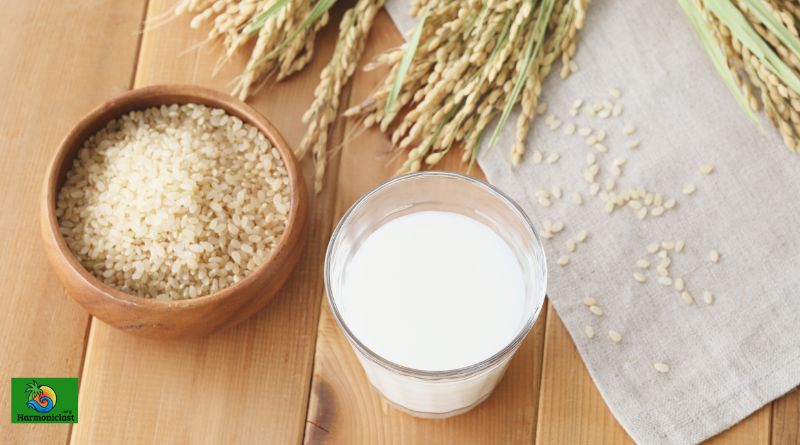 Rice Purity Test 2024