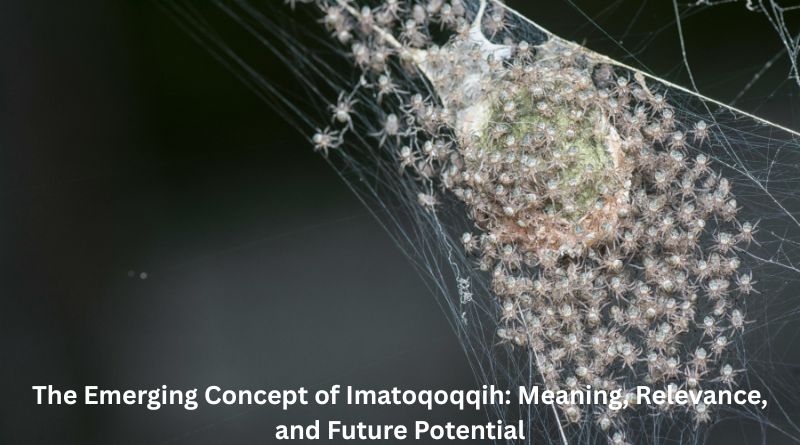 The Emerging Concept of Imatoqoqqih: Meaning, Relevance, and Future Potential